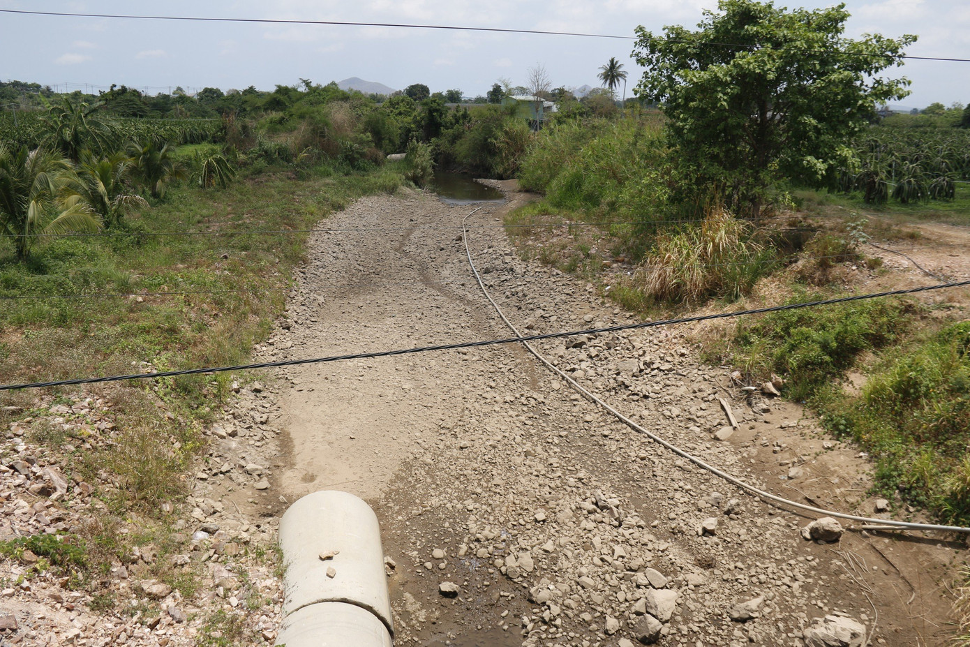 Theo thống kê mới nhất đến đầu tháng 4/2024, toàn tỉnh Bình Thuận có 41 xã, phường, thị trấn bị thiếu nước sinh hoạt, lượng nước tại các hồ chứa thủy lợi trên toàn tỉnh chỉ còn 115/363 triệu m3 - đạt 31% thiết kế.