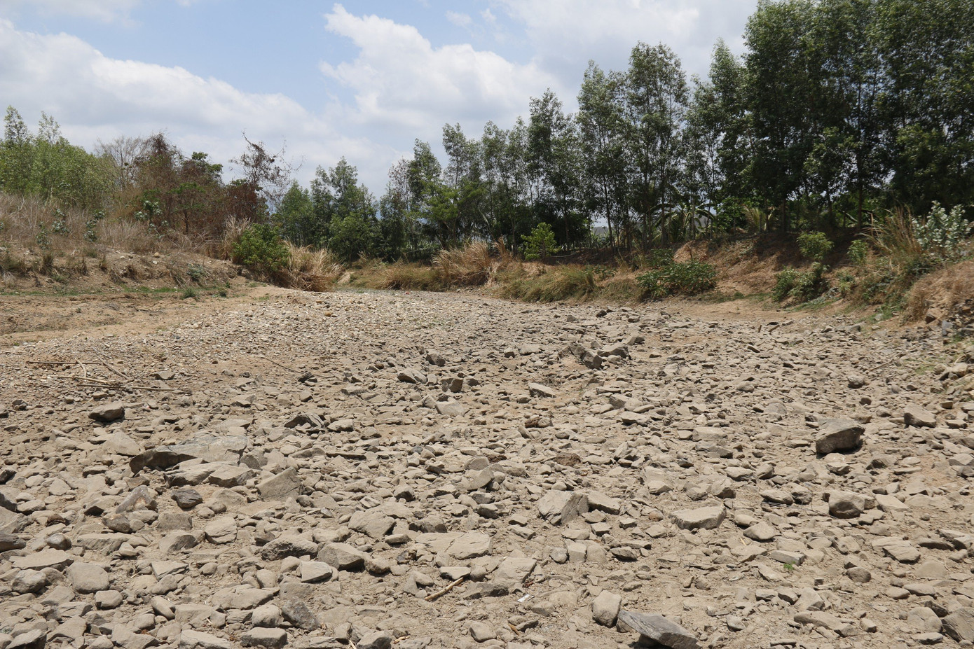 Nếu tình trạng nắng nóng, hạn hán tiếp tục kéo dài thì nguồn nước cho cây trồng, vật nuôi và sinh hoạt của người dân sẽ bị ảnh hưởng nghiêm trọng hơn.