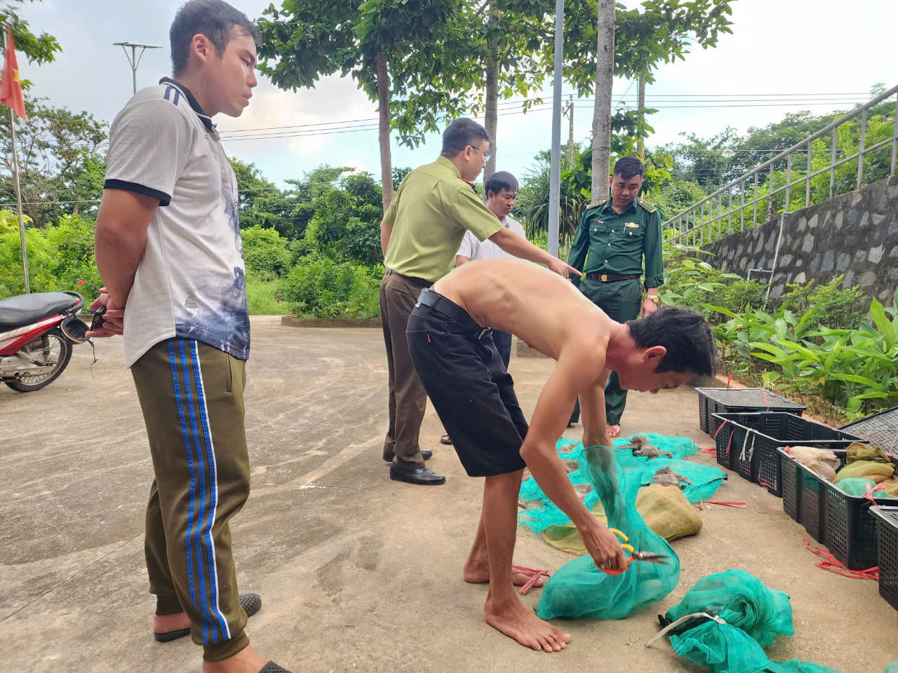 Trong 17 cá thể khỉ đuôi dài, 10 con chết, 7 con còn sống với tổng khối lượng 34 kg.