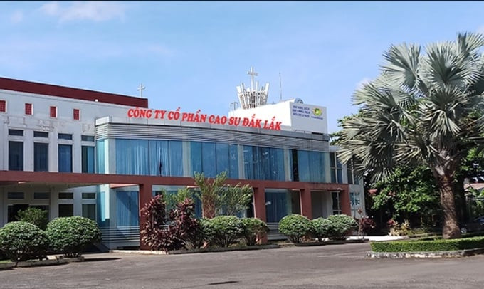 Công ty CP Cao su Đắk Lắk sẽ giảm sở hữu tại DRI xuống còn 36% vốn điều lệ.