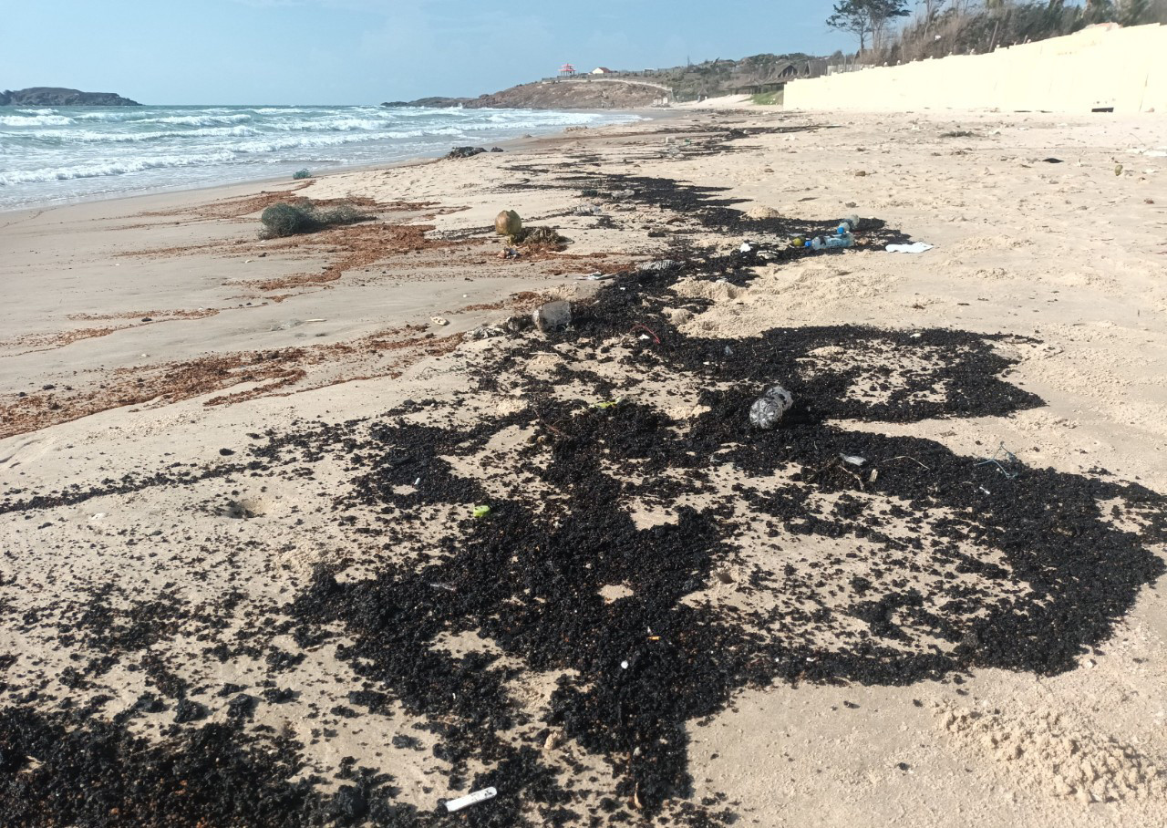 Dầu vón cục trôi vào bờ biển Mũi Né, TP. Phan Thiết dài khoảng 4 km. Dầu vón cục trôi vào bờ biển Mũi Né, TP. Phan Thiết dài khoảng 4 km.