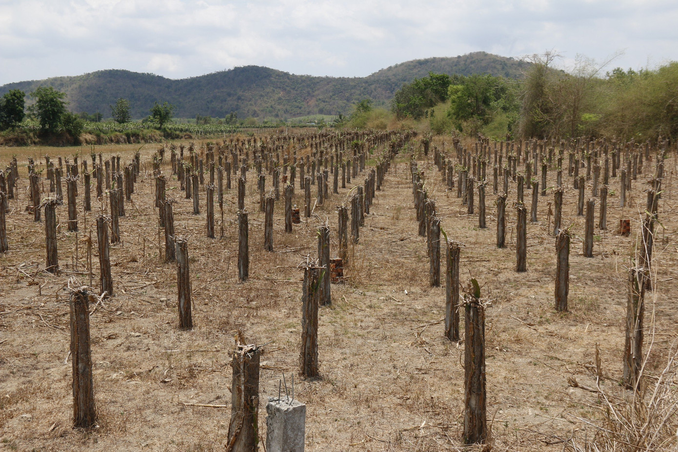 Nếu tính toán 100 triệu m3 tưới được cho 10.000 ha, với 300.000 ha đất nông nghiệp còn lại sẽ phải cần đến 3 tỷ m3 nước/năm.