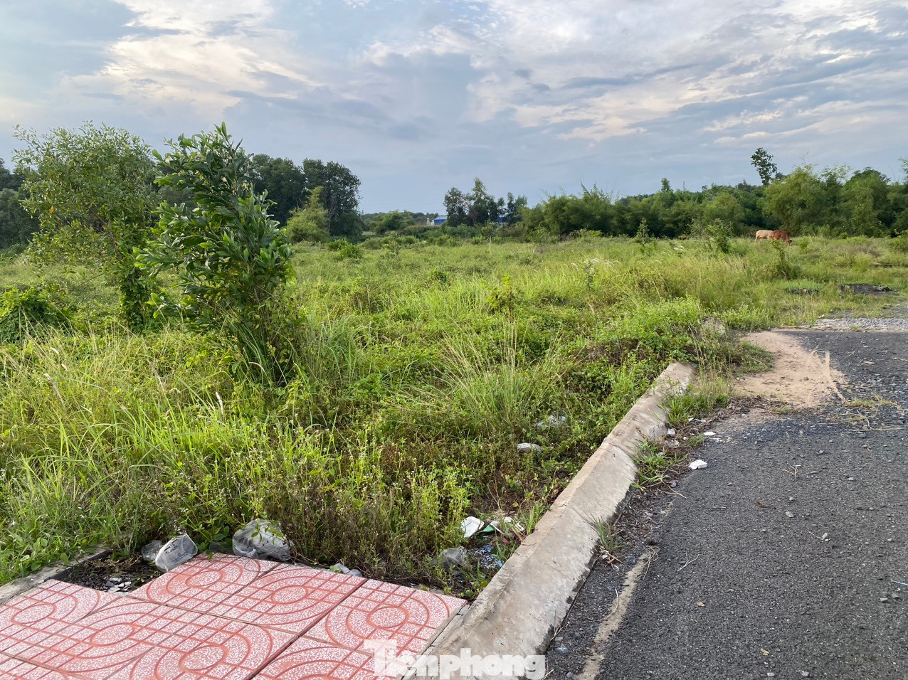 Bảng giá đất điều chỉnh không tác động đến việc định giá đất cụ thể để tính tiền sử dụng đất, tiền thuê đất của các dự án bất động sản.