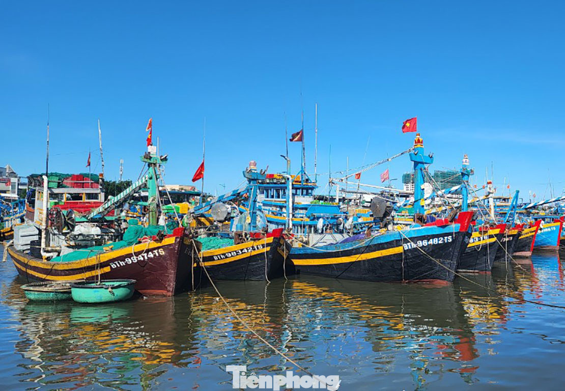 Từ nay đến tháng 10, Bình Thuận sẽ chấm dứt tình trạng tàu cá, ngư dân xâm phạm vùng biển nước ngoài.