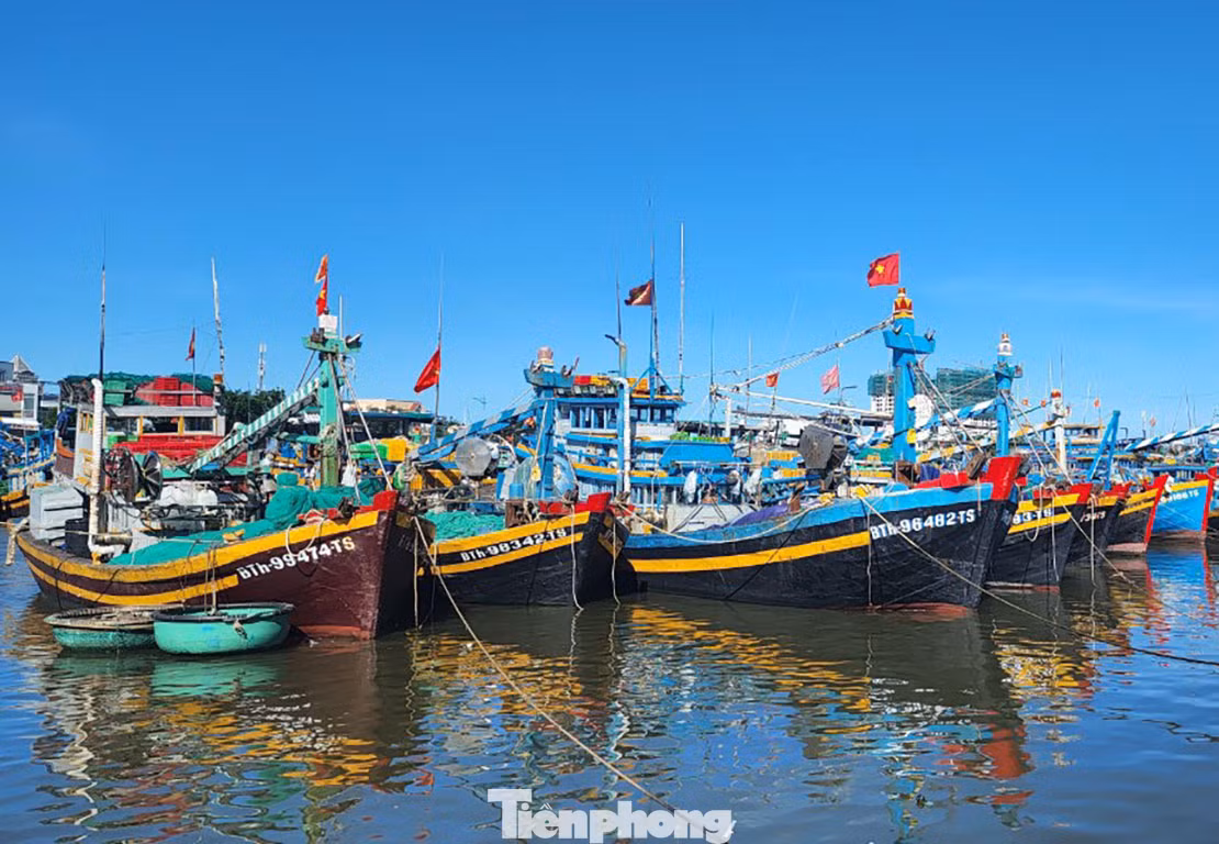 Từ nay đến tháng 10, Bình Thuận sẽ chấm dứt tình trạng tàu cá, ngư dân xâm phạm vùng biển nước ngoài.