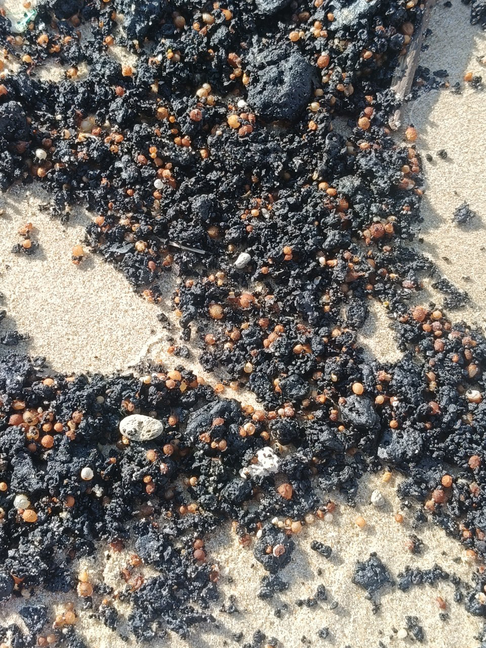 Cận cảnh dầu vón cục trôi vào bờ biển Mũi Né. Cận cảnh dầu vón cục trôi vào bờ biển Mũi Né.