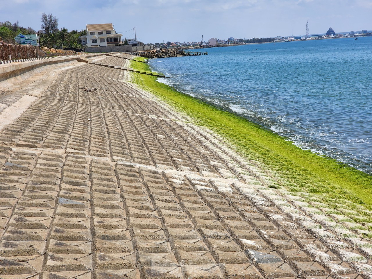 Bốn dự án khẩn cấp khắc phục sạt lở bờ biển được Thủ tướng Chính phủ phê duyệt chủ trương đầu tư ở Bình Thuận bị thanh tra vạch loạt sai sót.