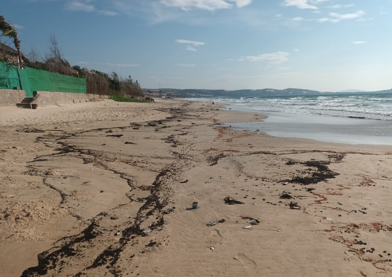 UBND TP. Phan Thiết, tỉnh Bình Thuận đã huy động nhiều lực lượng khẩn trương thu gom, xử lý dầu vón cục. UBND TP. Phan Thiết, tỉnh Bình Thuận đã huy động nhiều lực lượng khẩn trương thu gom, xử lý dầu vón cục.