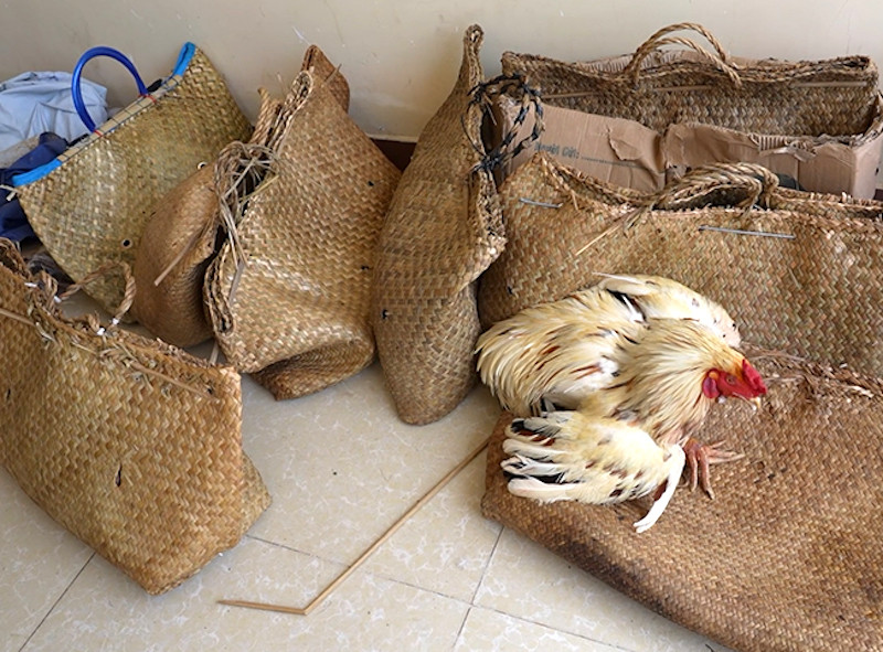 Tang vật bị lực lượng chức năng thu giữ. Tang vật bị lực lượng chức năng thu giữ.