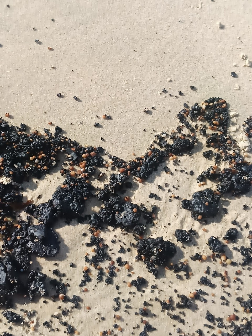 Theo phản ánh của một số bà con ngư dân, khả năng xuất hiện dầu vón cục trôi vào bờ là từ sự cố xảy ra tại các giàn khoan khai thác dầu khí đang hoạt động trên địa bàn Bình Thuận. Theo phản ánh của một số bà con ngư dân, khả năng xuất hiện dầu vón cục trôi vào bờ là từ sự cố xảy ra tại các giàn khoan khai thác dầu khí đang hoạt động trên địa bàn Bình Thuận.