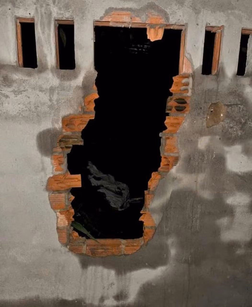 Đối tượng Nguyễn Động Giang đục tường lẻn vào nhà bà H. Đối tượng Nguyễn Động Giang đục tường lẻn vào nhà bà H.