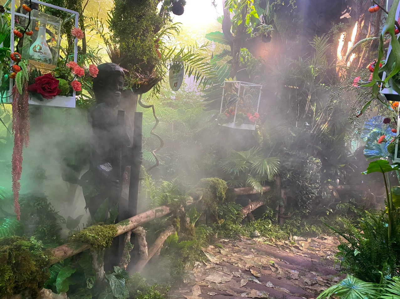 Mỗi bước đi khám phá rừng sâm K5 đều đưa mình gần hơn với thiên nhiên.