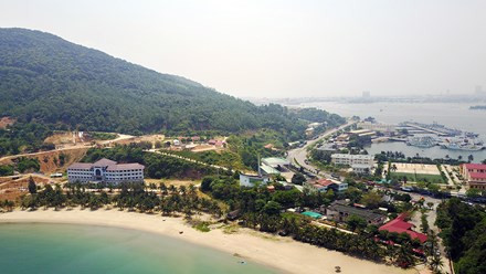 Chưa triển khai Quy hoạch Sơn Trà để tiếp thu ý kiến ảnh 2