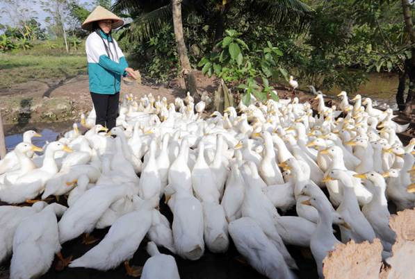 Về kết quả thực hiện tín dụng chính sách xã hội quý I/2019 ảnh 1