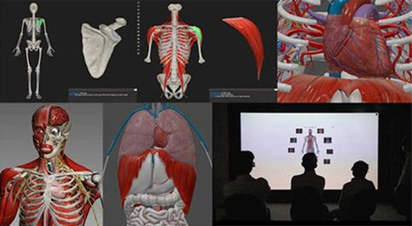  Bác sĩ Đa khoa - Ngành học vì sức khỏe người dân ảnh 3