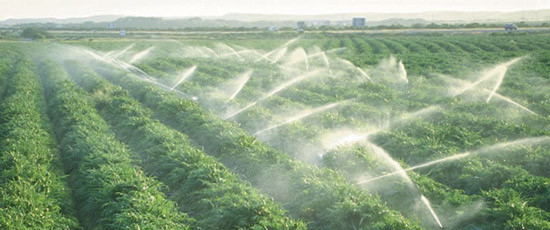 Giải pháp cung cấp nước cho nông nghiệp mùa khô ảnh 1