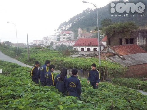 Cả nhóm đang đi nghiên cứu, khảo sát, kiểm tra vườn rau. Cả nhóm đang đi nghiên cứu, khảo sát, kiểm tra vườn rau