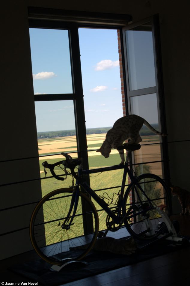 Chiếc xe đạp được đặt ở một góc cửa sổ. Đứng đây, mọi người có thể quan sát được không gian xung quanh. Chiếc xe đạp được đặt ở một góc cửa sổ. Đứng đây, mọi người có thể quan sát được không gian xung quanh