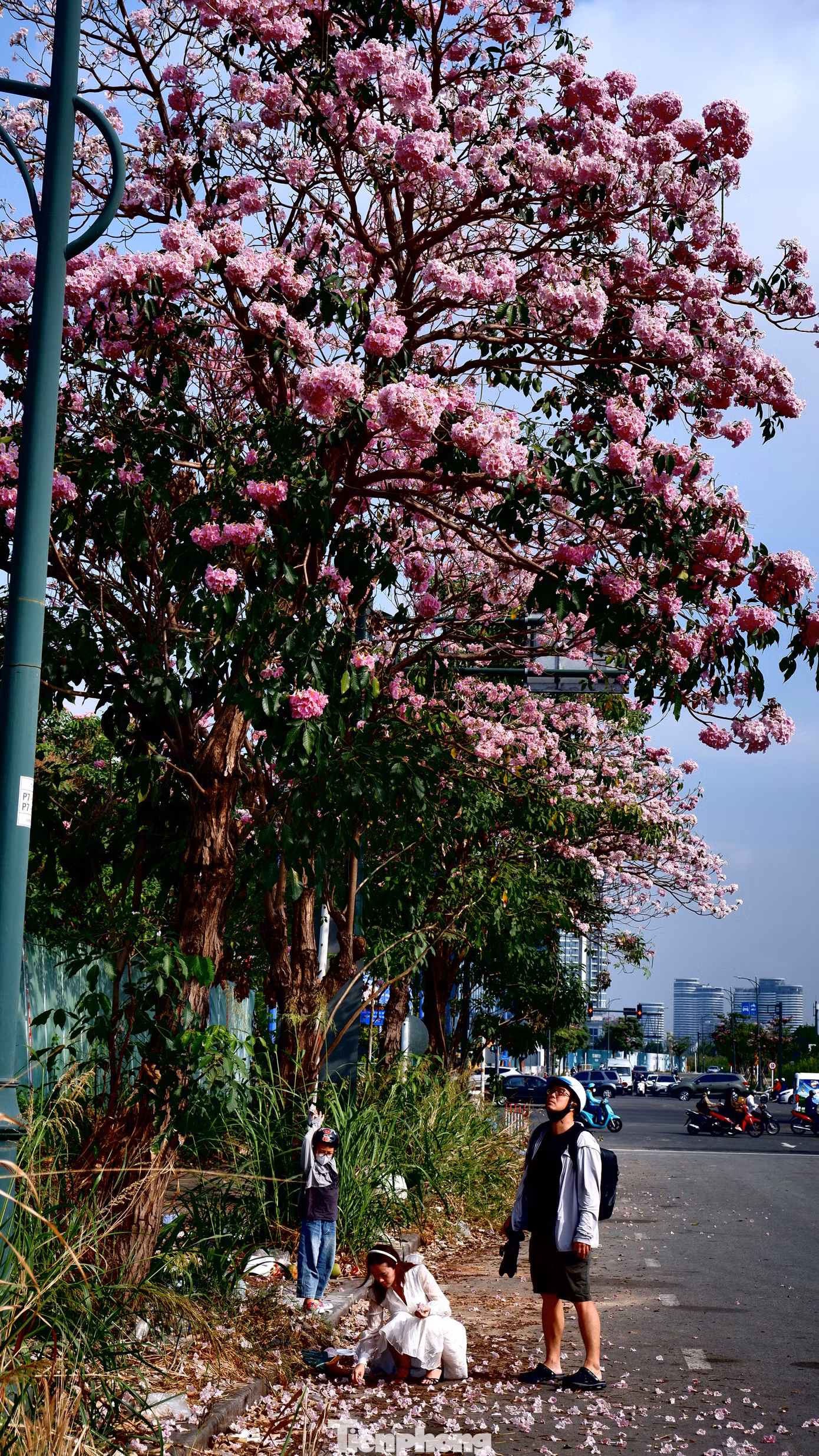 Nhiều người đến đây để chụp ảnh, lưu giữ khoảnh khắc đẹp bên người thân, bạn bè.