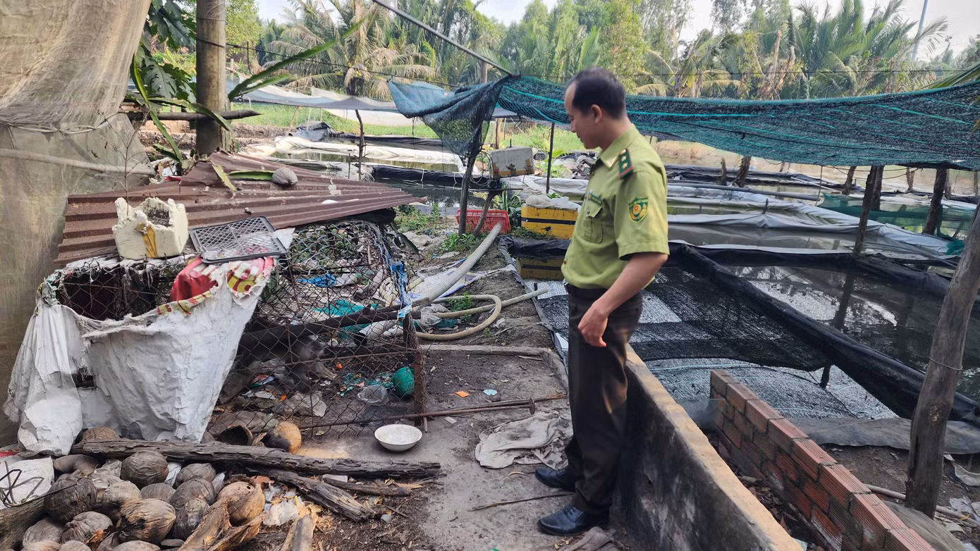 Cán bộ kiểm lâm có mặt để làm thủ tục tiếp nhận cá thể khỉ. Ảnh: A.X Cán bộ kiểm lâm có mặt để làm thủ tục tiếp nhận cá thể khỉ. Ảnh: A.X