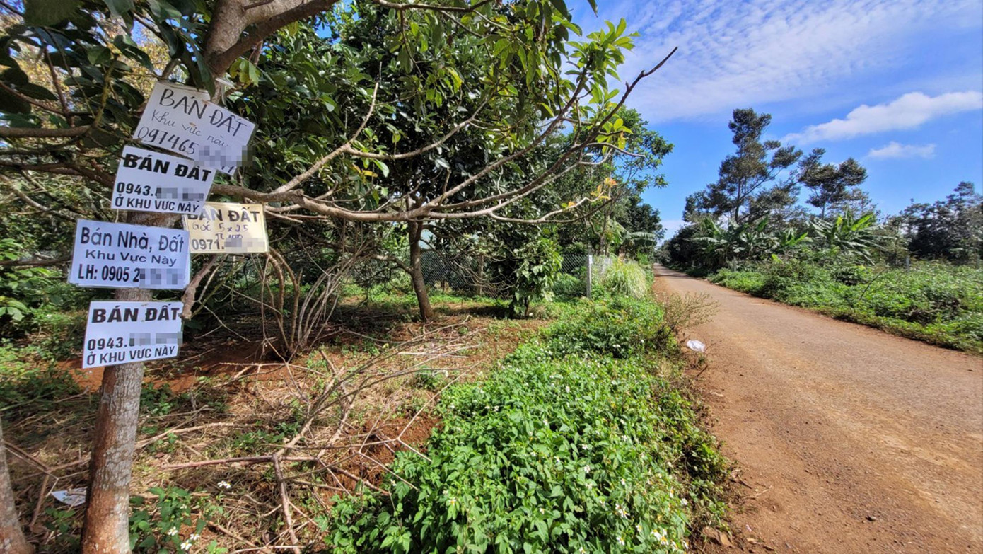 Đất vườn tại xã Tản Lĩnh (Ba Vì, Hà Nội) được môi giới “hét giá” từng ngày Ảnh: Ngọc Mai Đất vườn tại xã Tản Lĩnh (Ba Vì, Hà Nội) được môi giới “hét giá” từng ngày Ảnh: Ngọc Mai