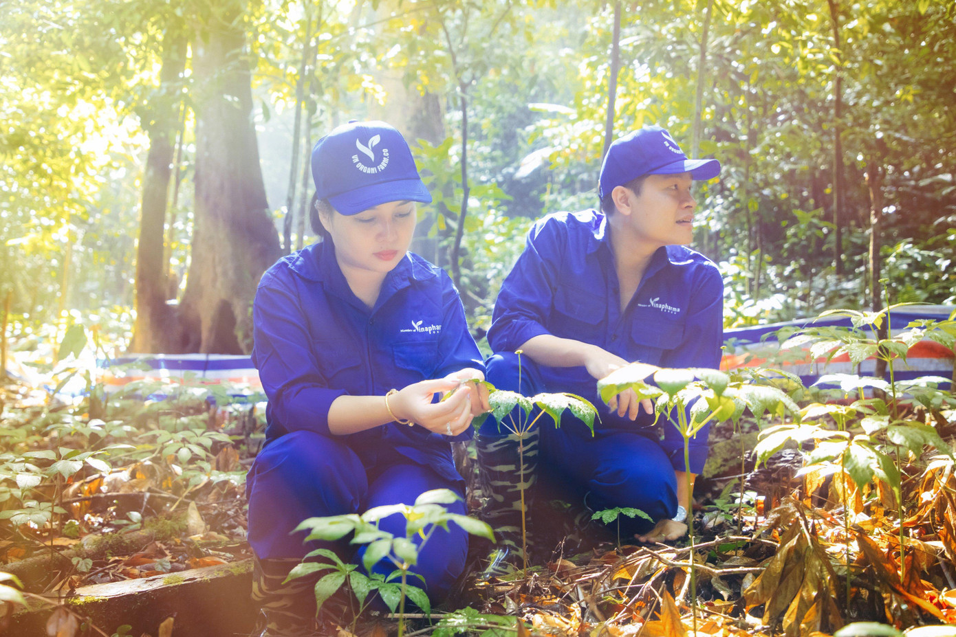 Doanh nhân Nguyễn Thị Diễm Hằng cho rằng, làm nông nghiệp vất vả, nếu không có đam mê và quyết tâm, không thể làm được Doanh nhân Nguyễn Thị Diễm Hằng cho rằng, làm nông nghiệp vất vả, nếu không có đam mê và quyết tâm, không thể làm được