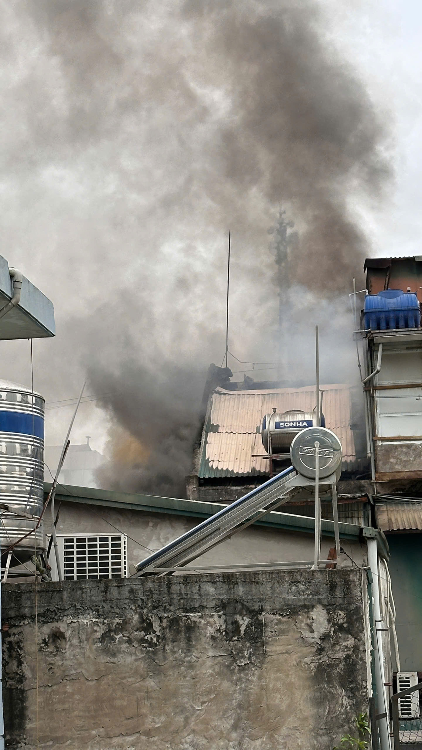 (Ảnh: Như Ý) (Ảnh: Như Ý)