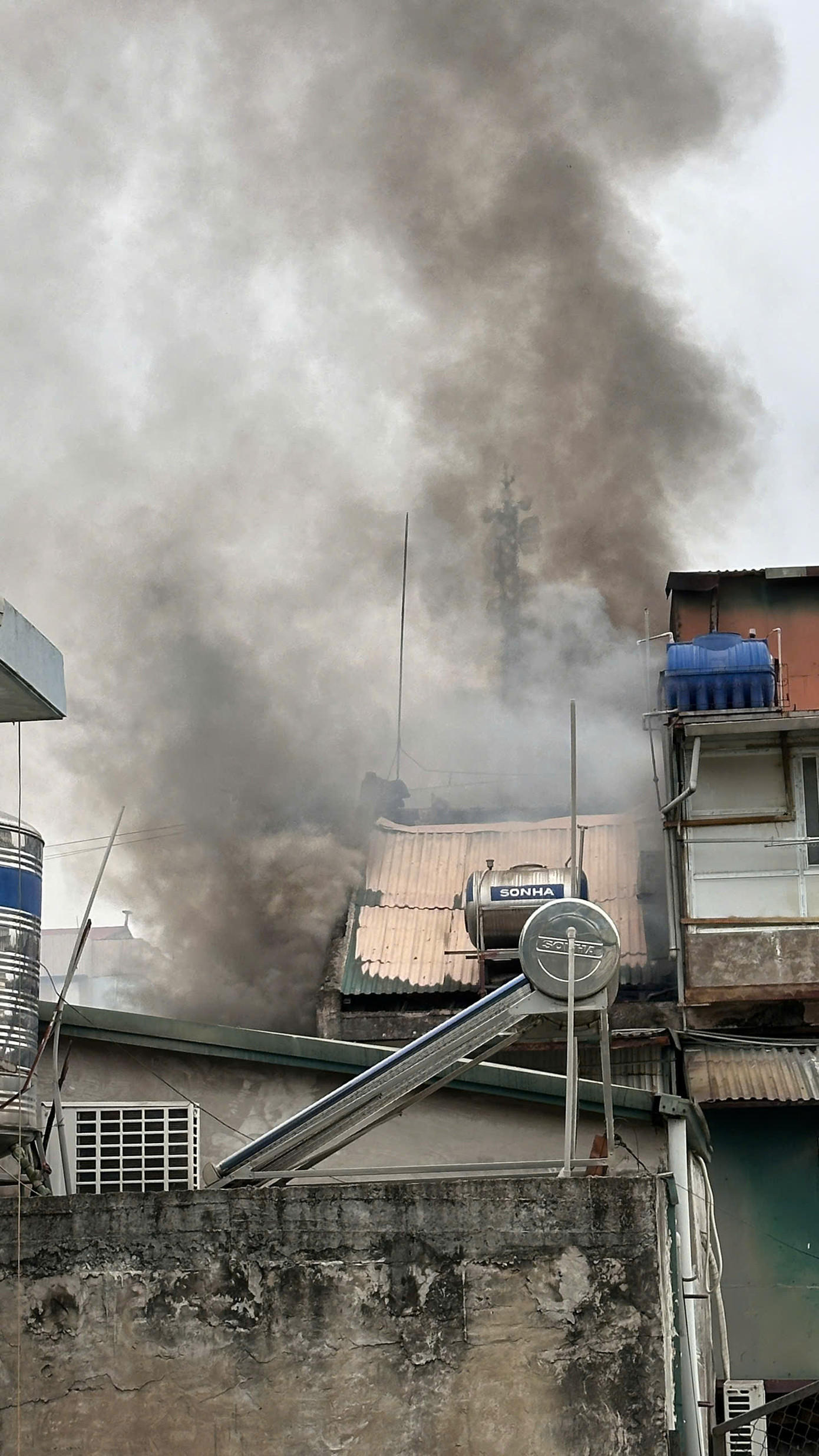 (Ảnh: Như Ý) (Ảnh: Như Ý)