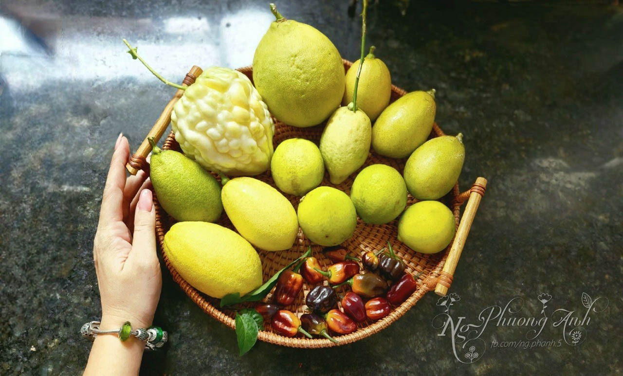 Các loại chanh vàng thường có mùi thơm rất dễ chịu