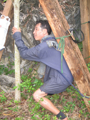 Những lâm tặc chuyên nghiệp có thể gùi trên vai cả tạ, thậm chí có người còn gùi đến 1,8 tạ gỗ đi cả tháng trong rừng. Những lâm tặc chuyên nghiệp có thể gùi trên vai cả tạ, thậm chí có người còn gùi đến 1,8 tạ gỗ đi cả tháng trong rừng