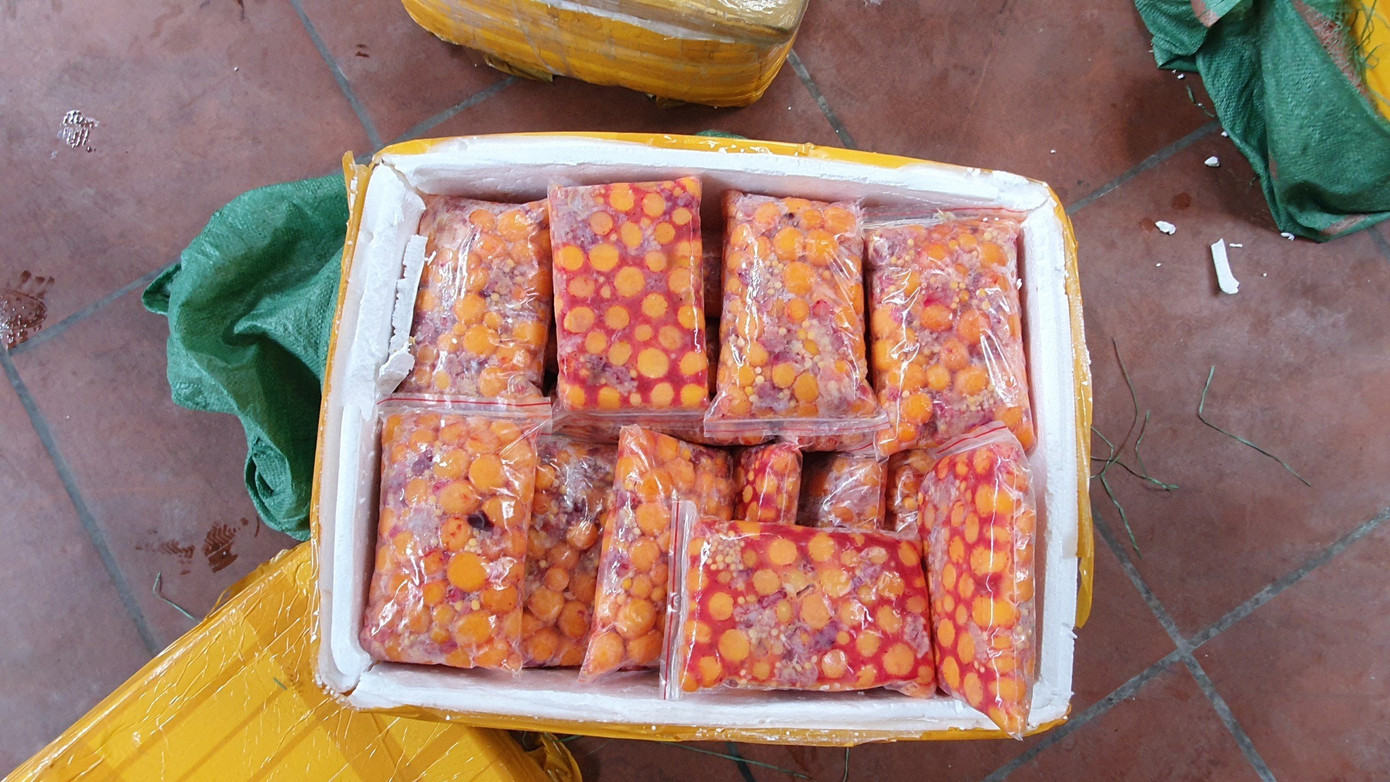 Số trứng non gia cầm không rõ nguồn gốc xuất xứ bị cơ quan chức năng tạm giữ Số trứng non gia cầm không rõ nguồn gốc xuất xứ bị cơ quan chức năng tạm giữ