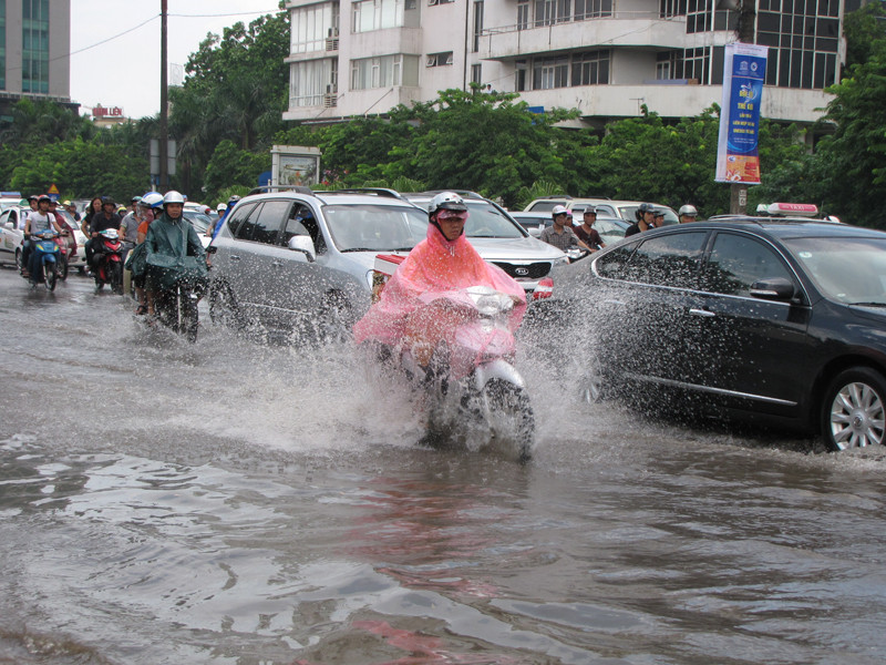 ... đường Kim Liên
