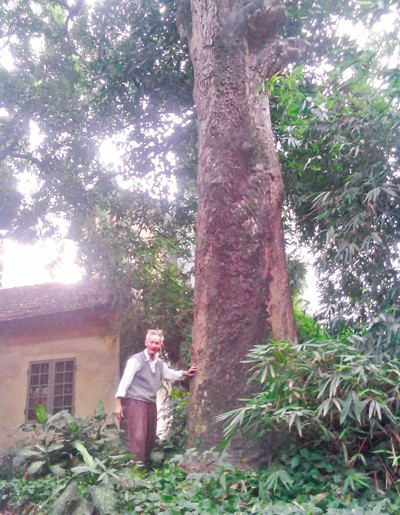 Người sống gần 1 thế kỷ bên cạnh cây cổ thụ gần 10 thế kỷ.
