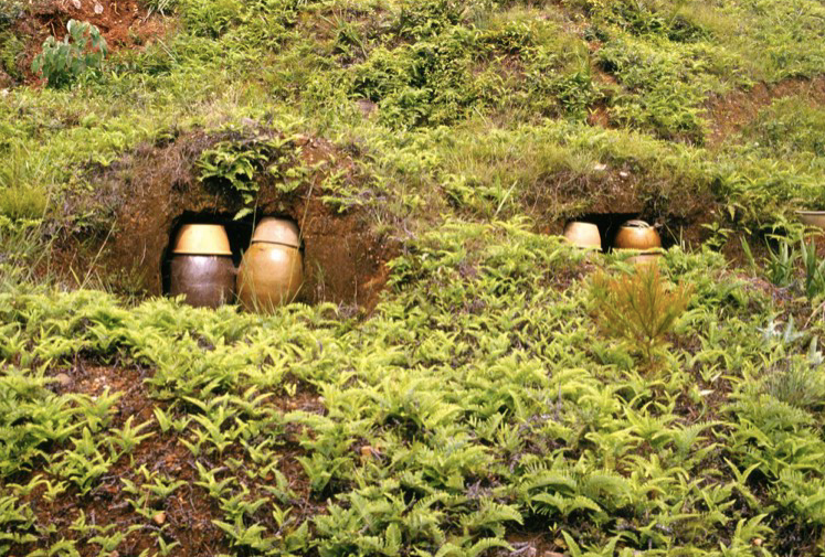 Bình đựng tro cốt người chết được để trên một sườn đồi ở Trung Quốc. (Ảnh: Getty Images)