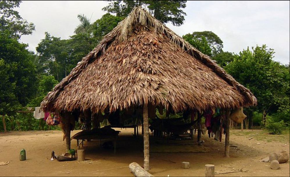 Nhà truyền thống của người Tsimane. (Ảnh: Daily Mail) Nhà truyền thống của người Tsimane. (Ảnh: Daily Mail)