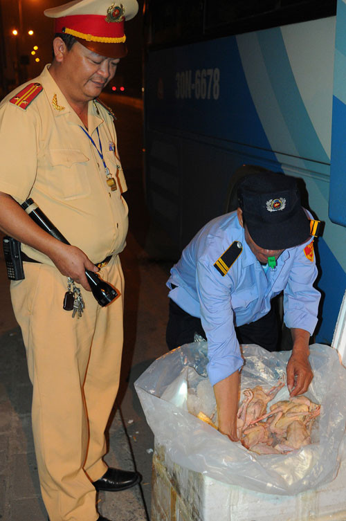 Phát hiện rắn hổ mang và nội tạng thối, thịt gia cầm không rõ nguồn gốc. Ảnh: Minh Sang