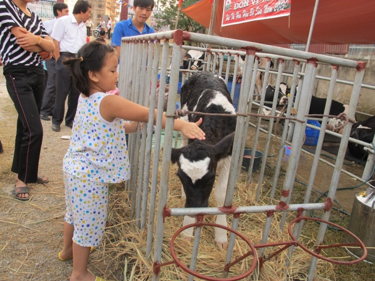 Một chú be vừa sinh trong ngày diễn ra vòng chung kết