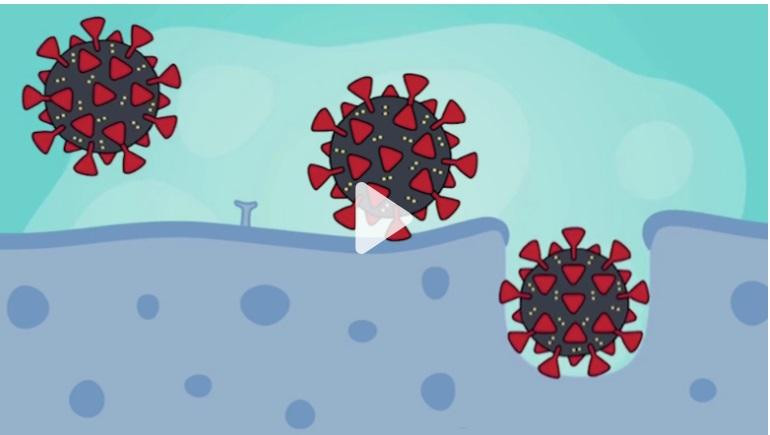 Biến thể BA.5 trốn tránh được hệ miễn dịch của cơ thể và vắc xin Biến thể BA.5 trốn tránh được hệ miễn dịch của cơ thể và vắc xin