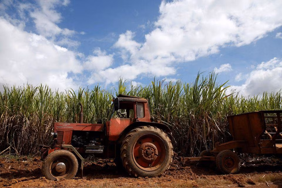 Máy kéo bên cánh đồng mía ở Cuba. Ảnh: Reuters.