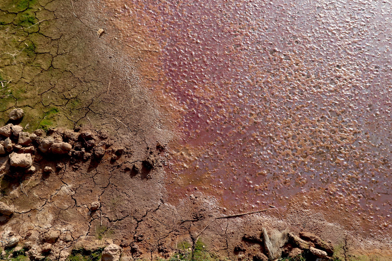 Các hố ngâm bã sắn mọc lên khắp làng. Nước thải chảy ra kênh rạch cũng tuỳ tình trạng của bể bã sắn mà có màu sắc khác nhau.