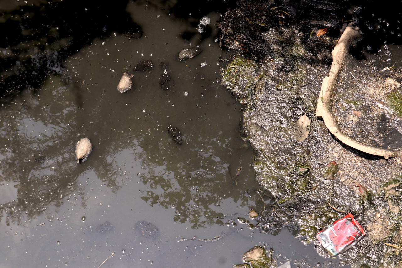 Hệ thống thoát nước thải của Cụm công nghiệp Làng nghề Dương Liễu được Nhà máy Xử lý nước thải Cầu Ngà xử lý, giá dịch vụ thoát nước, xử lý nước thải 15.000 đồng/m3 tính theo khối lượng nước sử dụng đầu vào, do Công ty Cổ phần nước sạch Tây Hà Nội cung cấp. Tuy nhiên, tại 4 thôn ngoài đê của xã Dương Liễu trong đó có thôn Hoà Hợp do khó khăn do vị trí mà đến nay vẫn chưa được sử dụng dịch vụ của Nhà máy Xử lý nước thải Cầu Ngà.