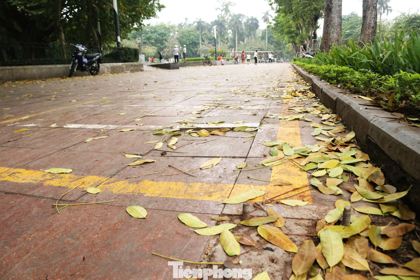 Trạm xe công cộng tại công viên Lê-nin, bảng biểu liên quan tới dự án xe đạp công cộng mới được gỡ bỏ, mặt bằng sơn kẻ bỏ không, để lá cây phủ.