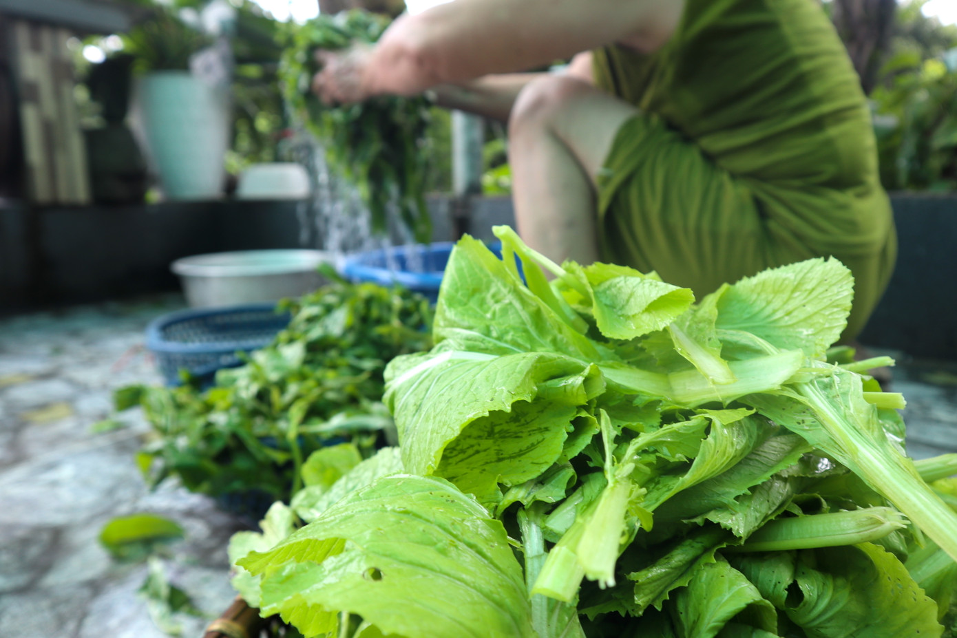 Các gia đình phải dùng nhiều cách để tiết kiệm nước sinh hoạt, tránh việc phải mua nước quá nhiều.