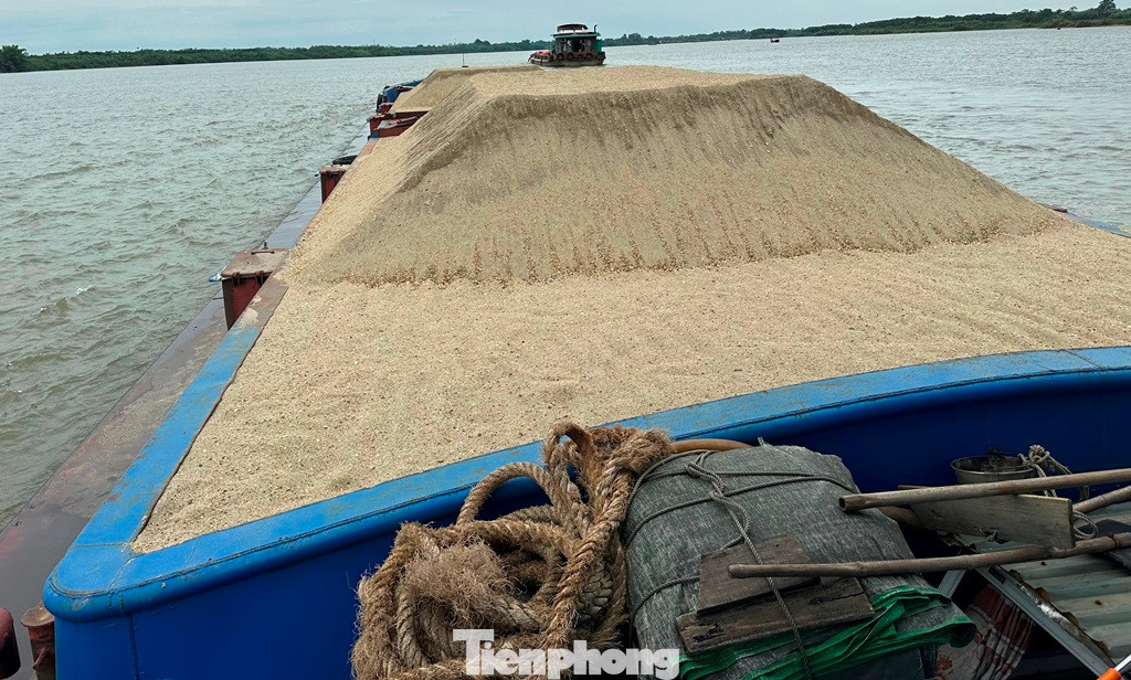 Do lái tàu không có bất kỳ giấy tờ gì xuất trình để kiểm tra, tổ công tác đã cho dừng chạy, yêu cầu lái tàu đánh phương tiện về bãi tạm giữ ở khu vực cảng Hồng Vân để xử lý tiếp. Do lái tàu không có bất kỳ giấy tờ gì xuất trình để kiểm tra, tổ công tác đã cho dừng chạy, yêu cầu lái tàu đánh phương tiện về bãi tạm giữ ở khu vực cảng Hồng Vân để xử lý tiếp.