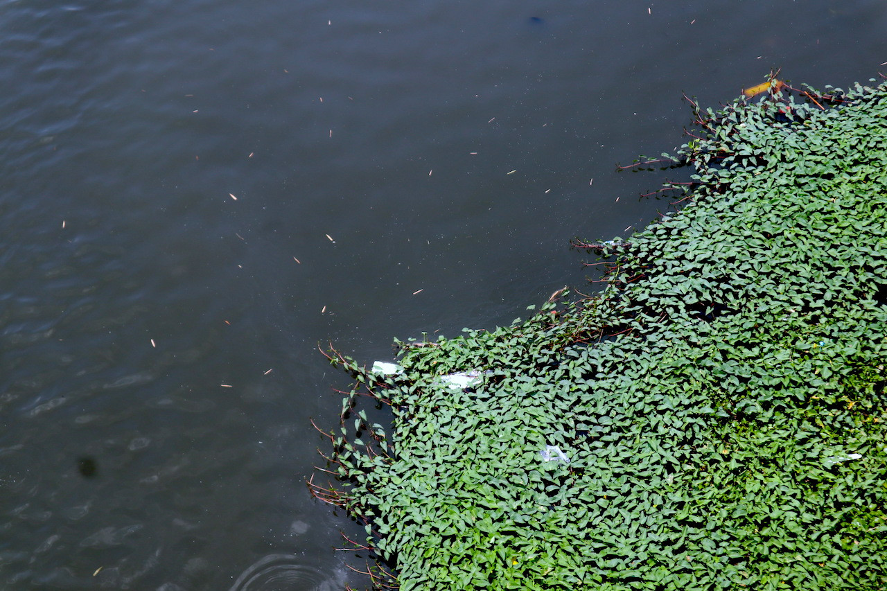 Thời gian tới, Sở Tài nguyên và Môi trường Hà Nội sẽ tập trung tham mưu xây dựng, ban hành và tổ chức thực hiện các Đề án về môi trường nước, môi trường không khí (Đề án phục hồi chất lượng môi trường nước và phát triển hệ thống 4 sông trong nội đô, gồm Tô Lịch, Kim Ngưu, Lừ, Sét); Đề án bảo vệ môi trường lưu vực sông Nhuệ - sông Đáy giai đoạn 2021-2025; sông Cầu Bây - Bắc Hưng Hải; Đề án bảo vệ môi trường làng nghề…); phối hợp với Sở Xây dựng đề xuất các giải pháp cụ thể.