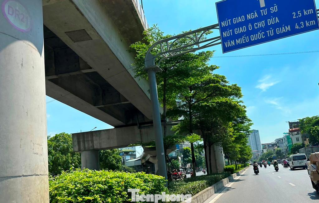 Với một số cây thân gỗ trong đó có loại bàng lai ngọn cây đã né được gầm cầu để phát triển, nhưng thân cây bị cong, trông rất xót lòng và mất mỹ quan. Việc trồng cây trên dải phân cách Vành đai 3 và dải phân cách đường Nguyễn Trãi - Trần Phú đều được lập thành các dự án riêng để chi ngân sách. Với một số cây thân gỗ trong đó có loại bàng lai ngọn cây đã né được gầm cầu để phát triển, nhưng thân cây bị cong, trông rất xót lòng và mất mỹ quan. Việc trồng cây trên dải phân cách Vành đai 3 và dải phân cách đường Nguyễn Trãi - Trần Phú đều được lập thành các dự án riêng để chi ngân sách.