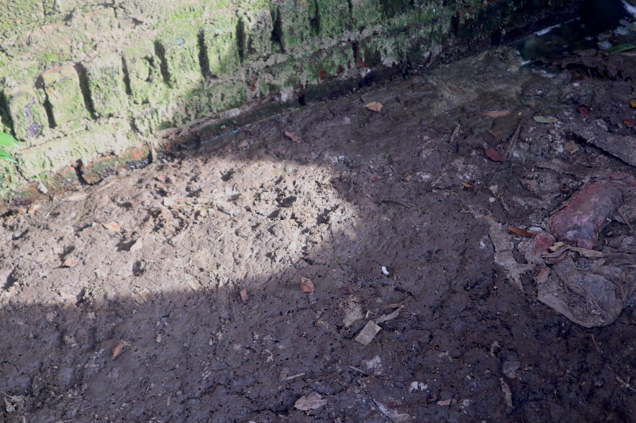 Nhiều con kênh quanh khu vực này bị “lấn bùn” bởi lượng xả thải ra môi trường quá lớn.