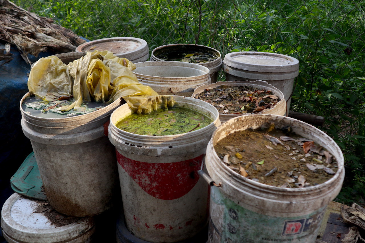 Nước thải từ việc ngâm ủ bã sắn chua trong thời gian dài làm cho hầu hết hệ thống kênh rạch tại thôn đen kịt, bốc mùi hôi thối khó chịu.