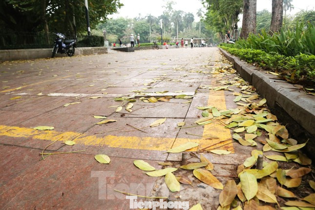 Khảo sát tại nhiều điểm đỗ được bố trí để phục vụ xe đạp khác tại 6 quận nội thành, Phóng viên ghi nhận, tất cả đang bỏ không nhiều tháng nay. Nhiều điểm đỗ đường kẻ đã mờ, mặt bằng xuống cấp và lá cây phủ dày.