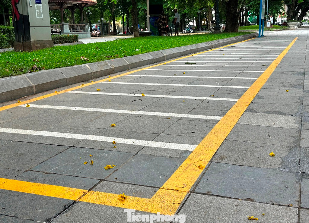 Để có điểm kết nối giữa xe đạp công cộng với người dân, dự án cần 6 quận huyện bố trí trên 90 điểm đỗ trên vỉa hè, công viên, mỗi điểm đỗ cần diện tích từ 120 đến 150 m để làm “Trạm dừng Xe đạp công cộng”.